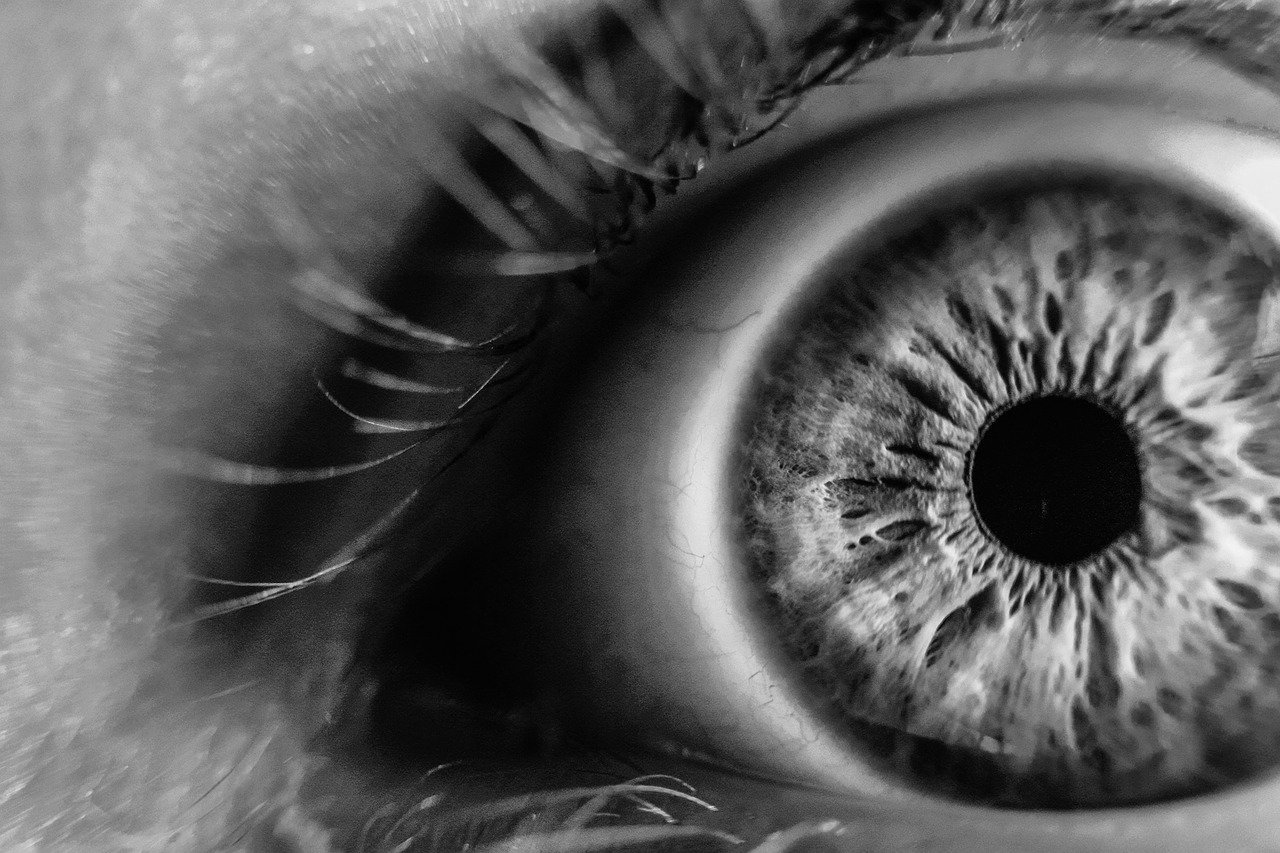 blur-1845247_1280 oeil